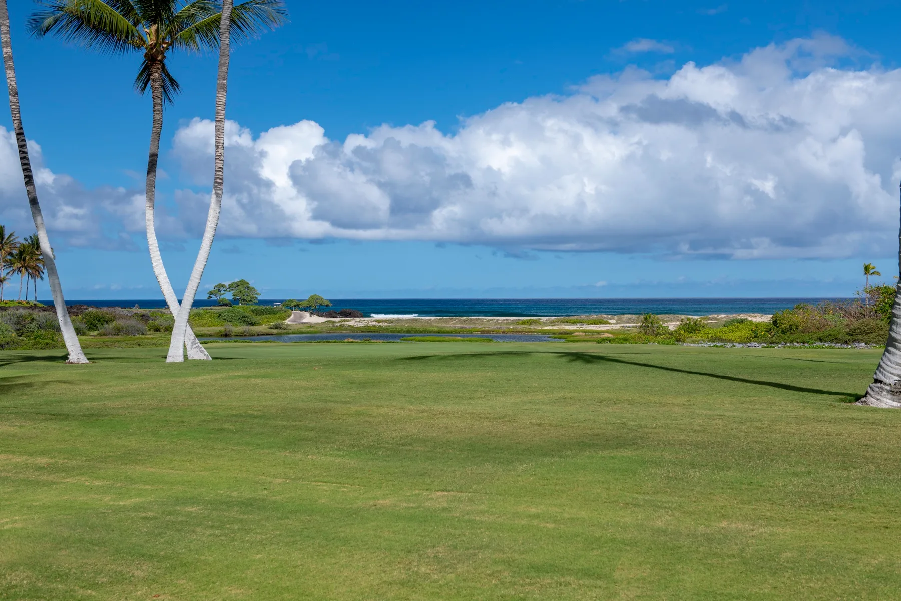 A grassy coastal lawn with palm trees overlooks the ocean beneath a cloudy sky.