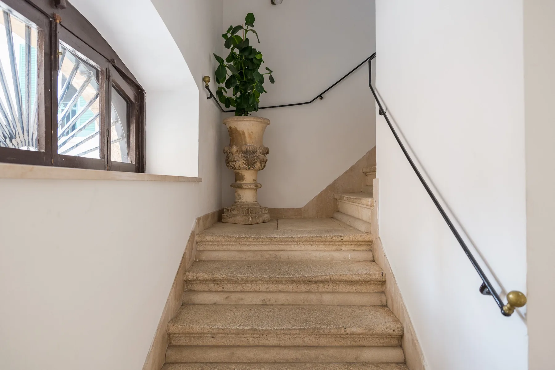 Una escalera con peldaños de piedra, una planta en maceta y una ventana.