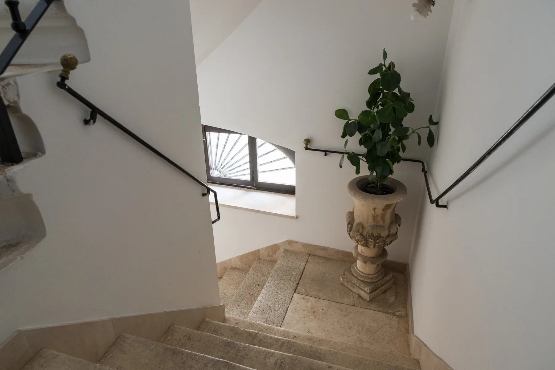 Una escalera de piedra desciende junto a una ventana y una planta en maceta.