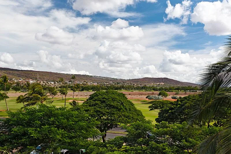 A green landscape with trees and palms beneath a cloudy sky.