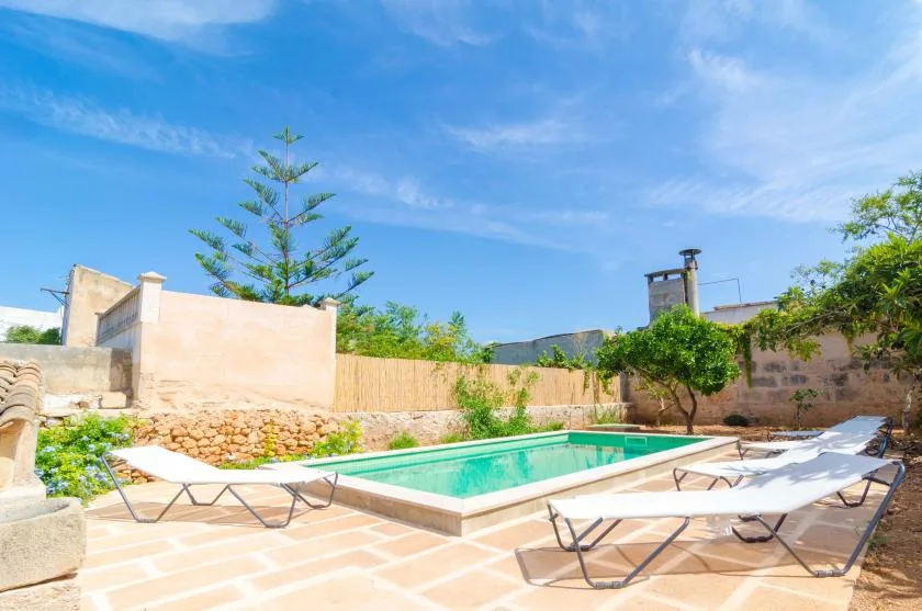 A sunlit outdoor pool is surrounded by pale paving, loungers, and garden greenery.