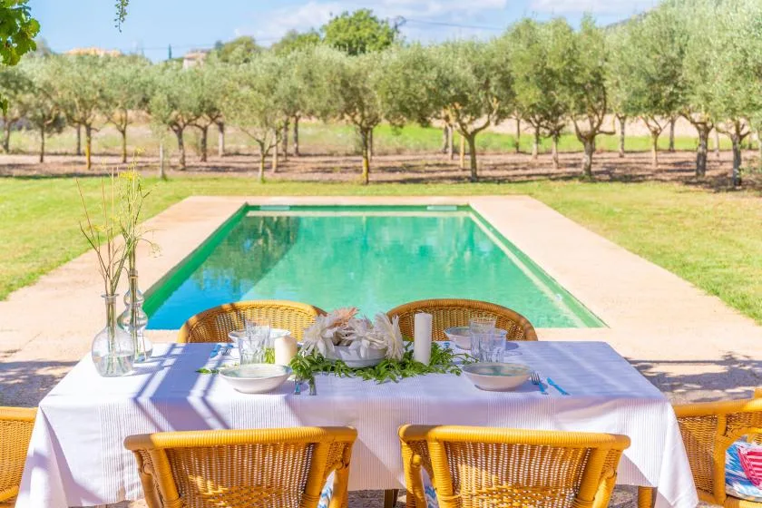 Outdoor dining table set beside a swimming pool, with rows of trees beyond.