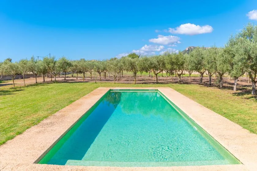 A rectangular swimming pool sits in a grassy yard surrounded by trees.