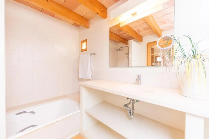 A bright bathroom with a bathtub, a wide sink counter, and a large mirror.