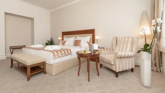 Habitación deluxe con cama doble o dos camas individuales