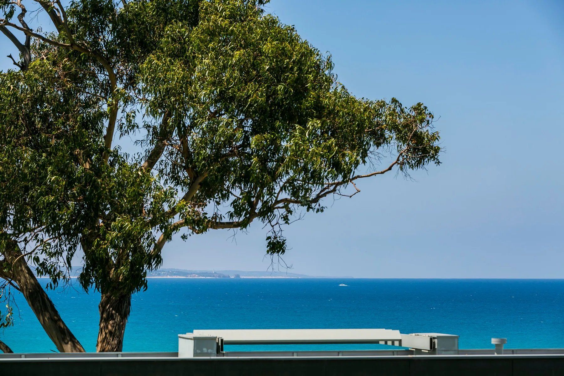 Un árbol frondoso domina el mar azul desde una terraza junto al agua.