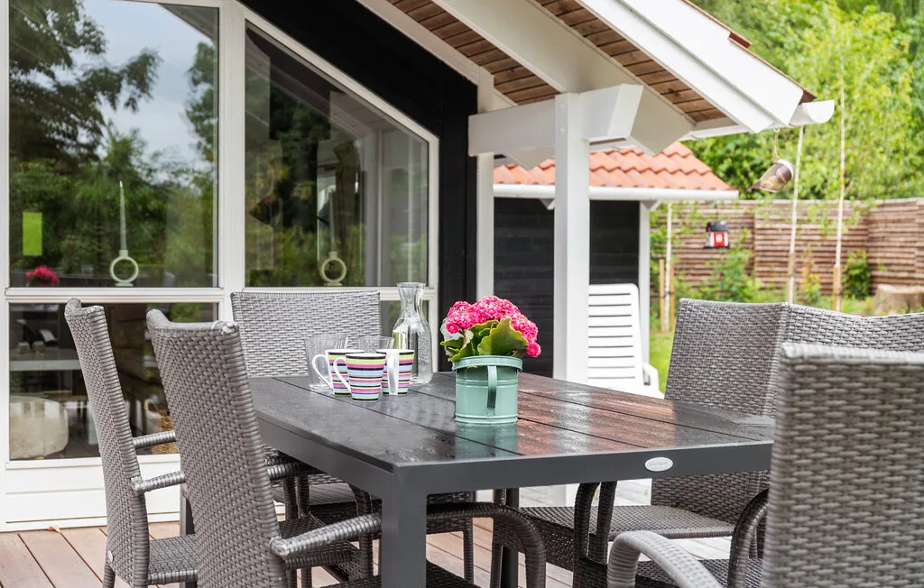 An outdoor dining area with a dark table, woven seating, and potted flowers.