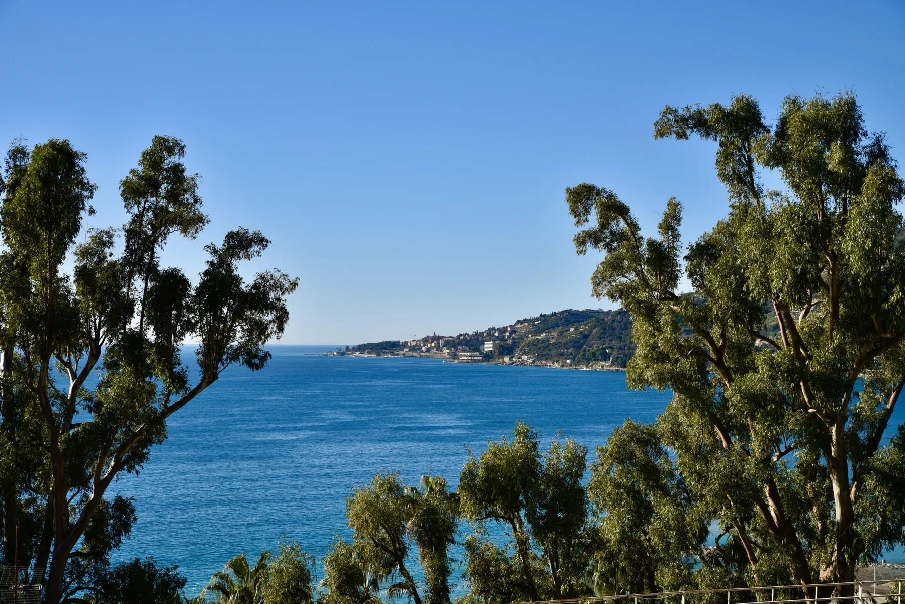 A blue bay and distant coastline are framed by leafy trees.