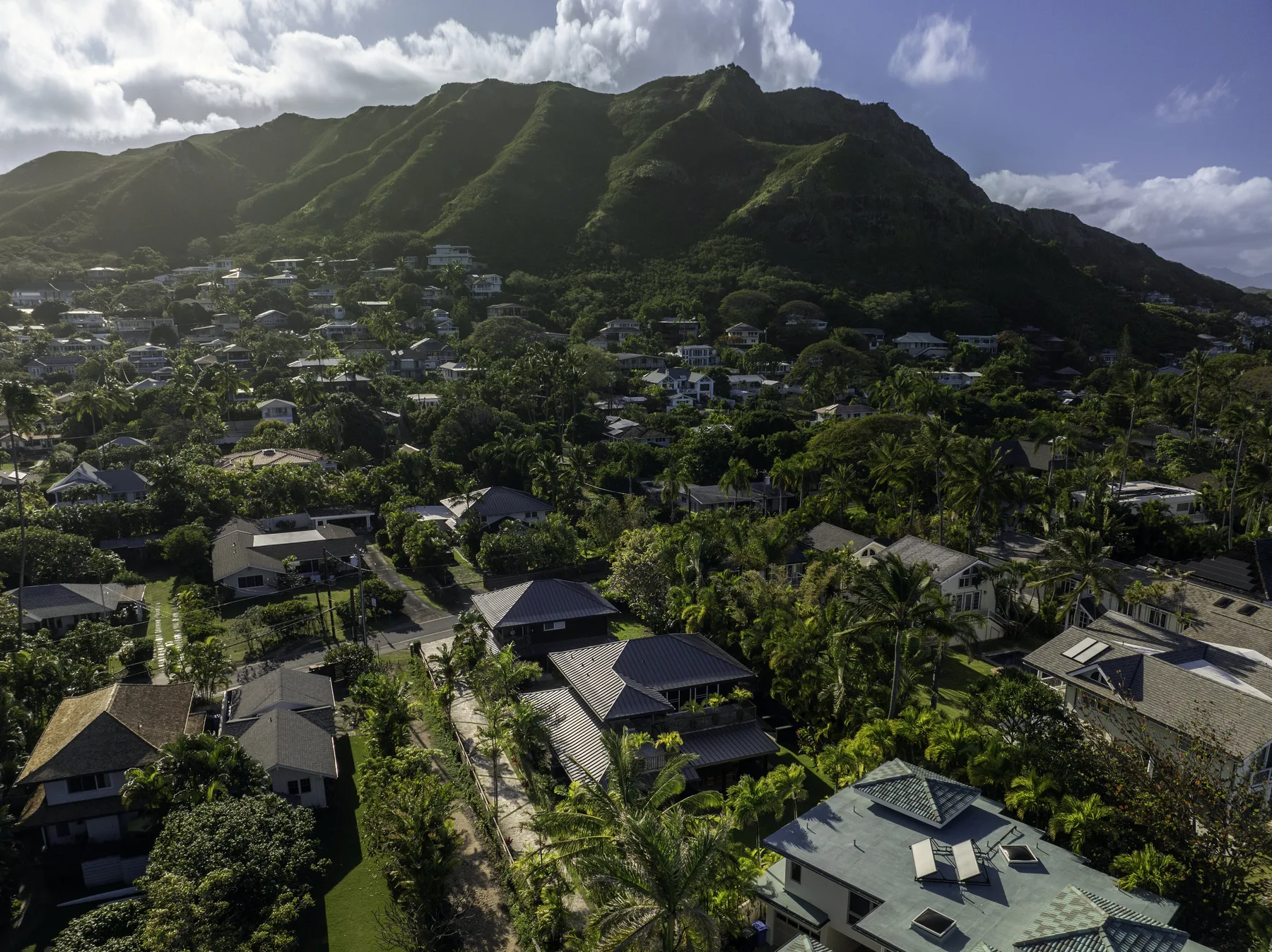 Aerial view of a green hillside neighborhood beneath a cloud-filled sky.