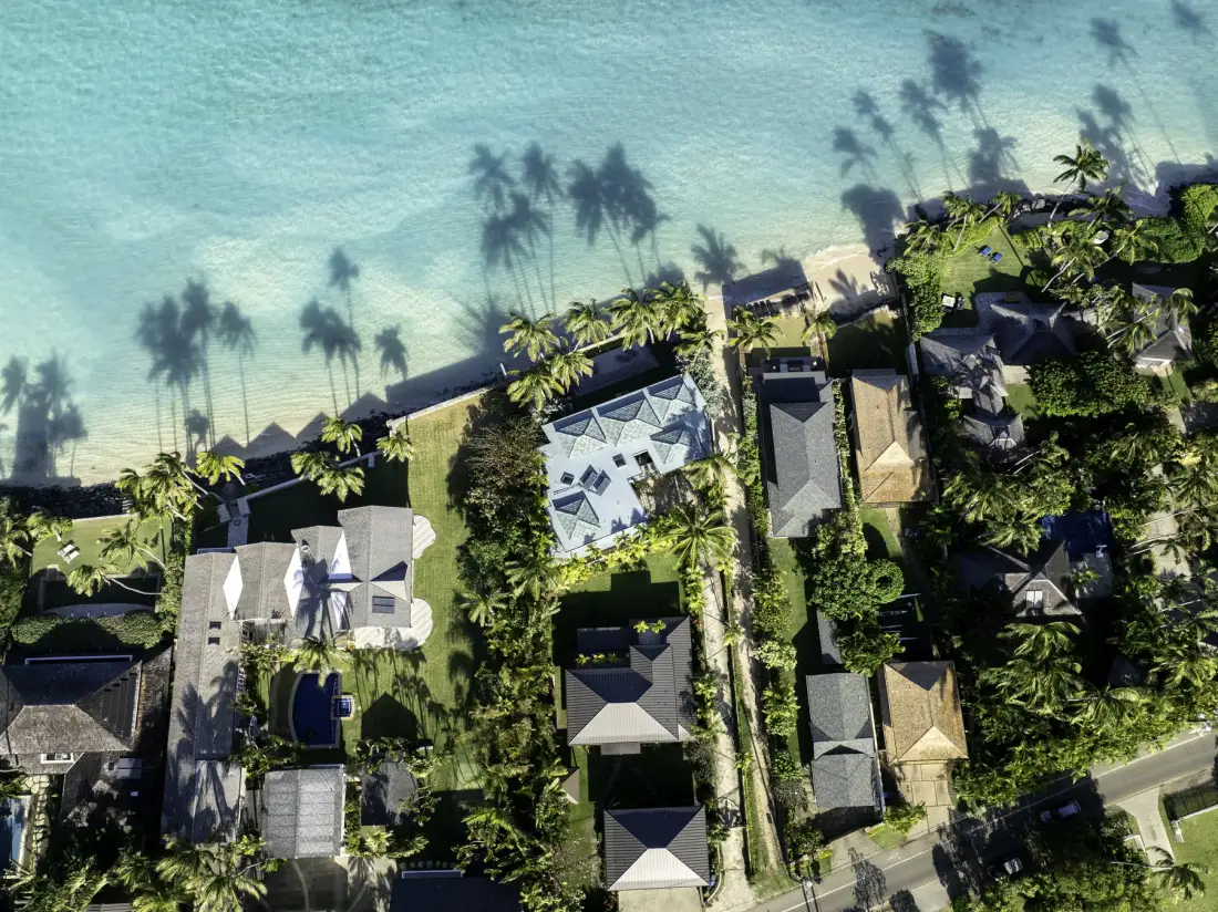 Aerial view of beachfront homes surrounded by palm trees and greenery.