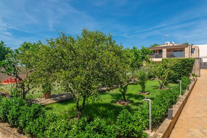A green garden with leafy trees beside a paved walkway.