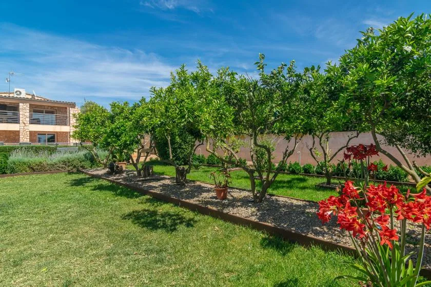 A sunny garden with leafy trees, green lawn, and red flowers.