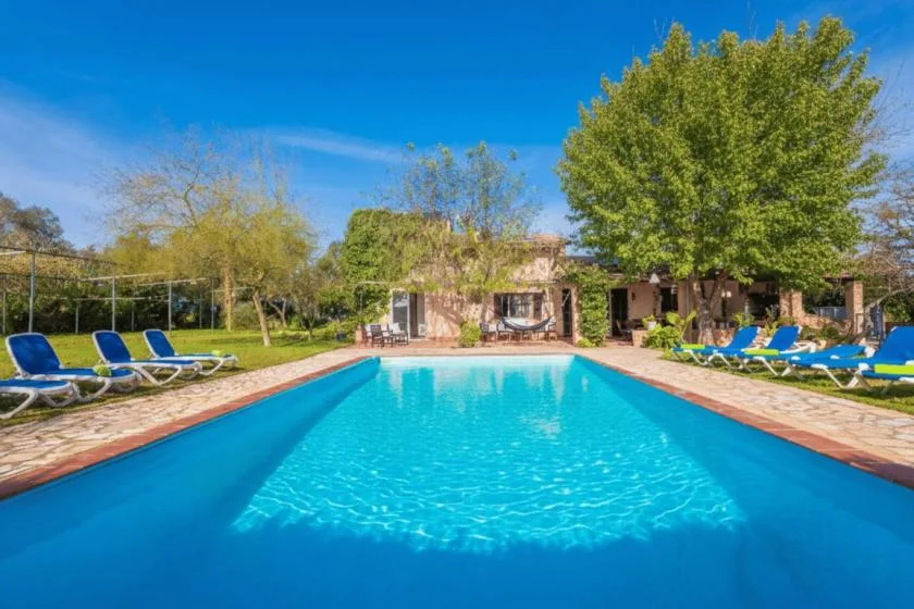Una piscina al aire libre está rodeada de tumbonas y árboles frondosos.