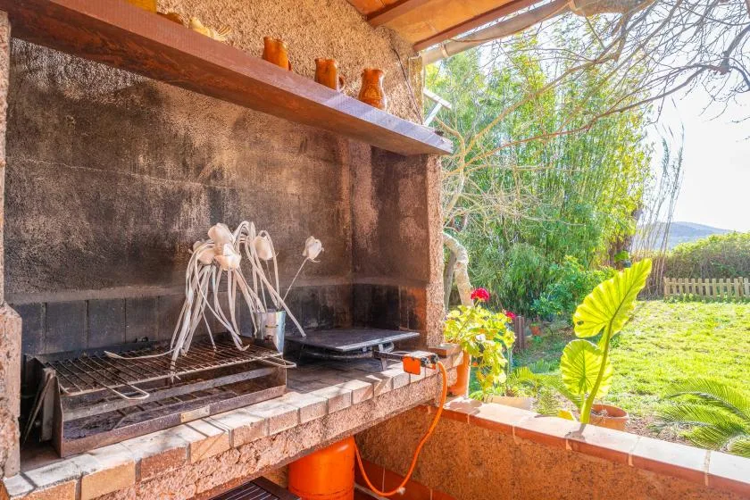 Una parrilla de ladrillo se abre a un jardín con plantas verdes y césped.