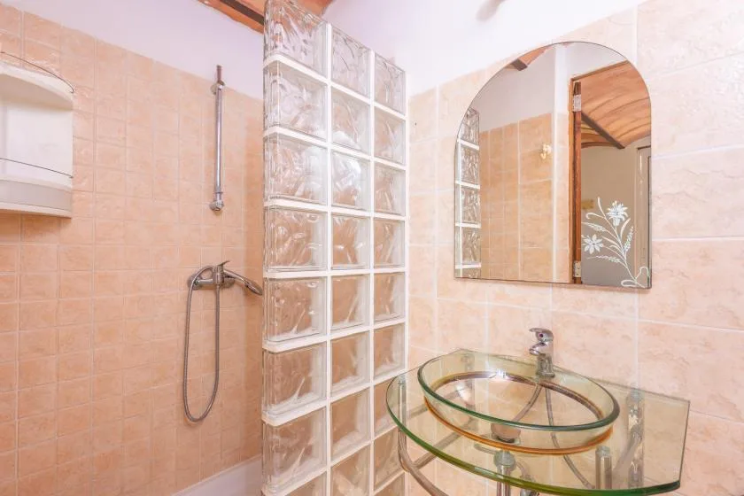 Un baño con una división de bloques de vidrio y un lavabo redondo de vidrio.