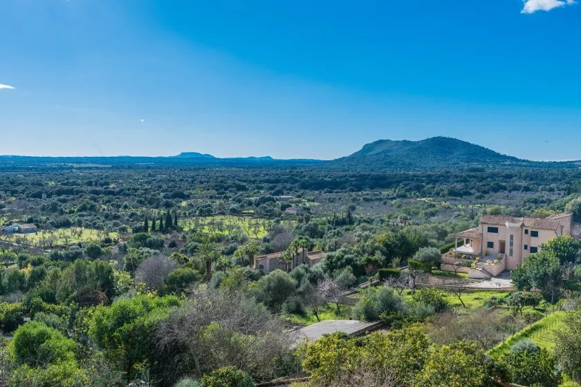 A broad green landscape with scattered homes and a low mountain beneath a clear blue sky.