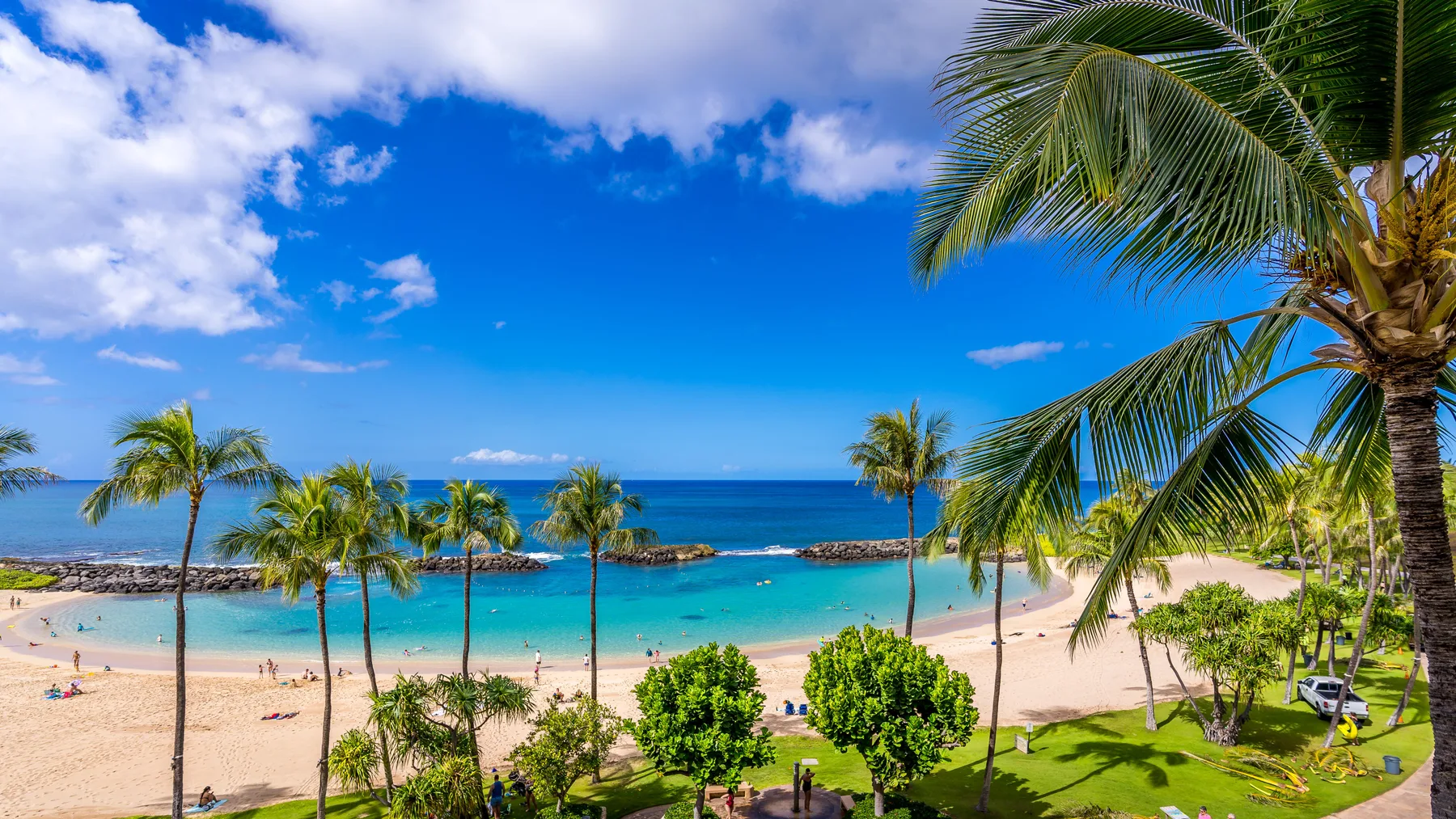 Una playa tropical con palmeras, agua turquesa y un cielo azul despejado.