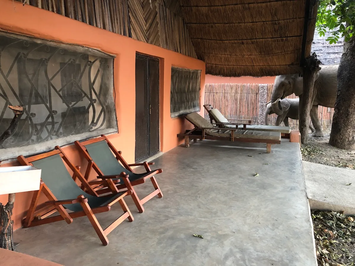 Elefantes cerca de una habitación