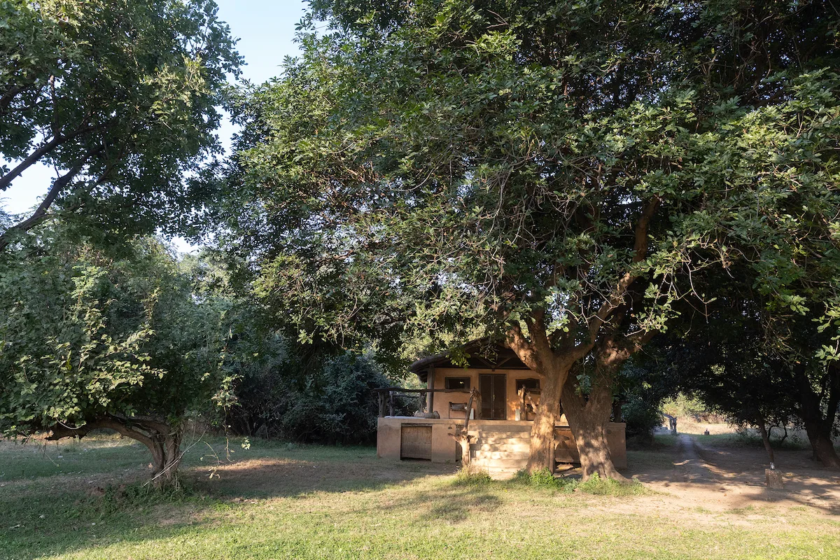 Exterior del chalet