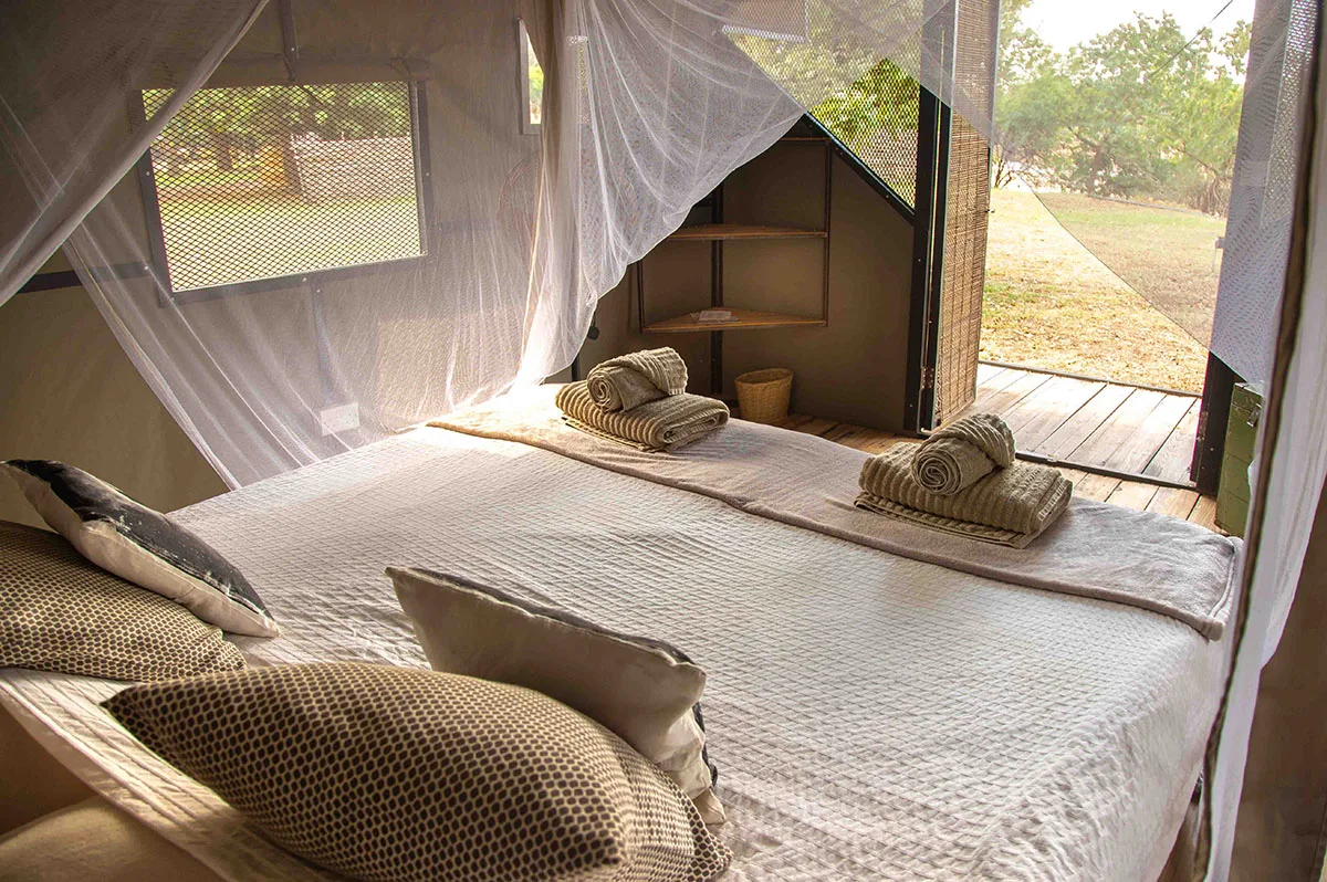 Interior de la tienda de safari