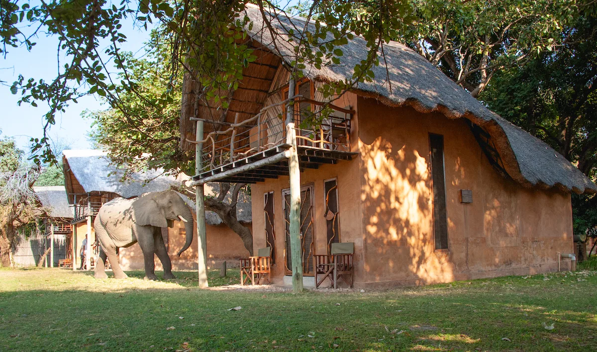Exterior del chalet con un elefante