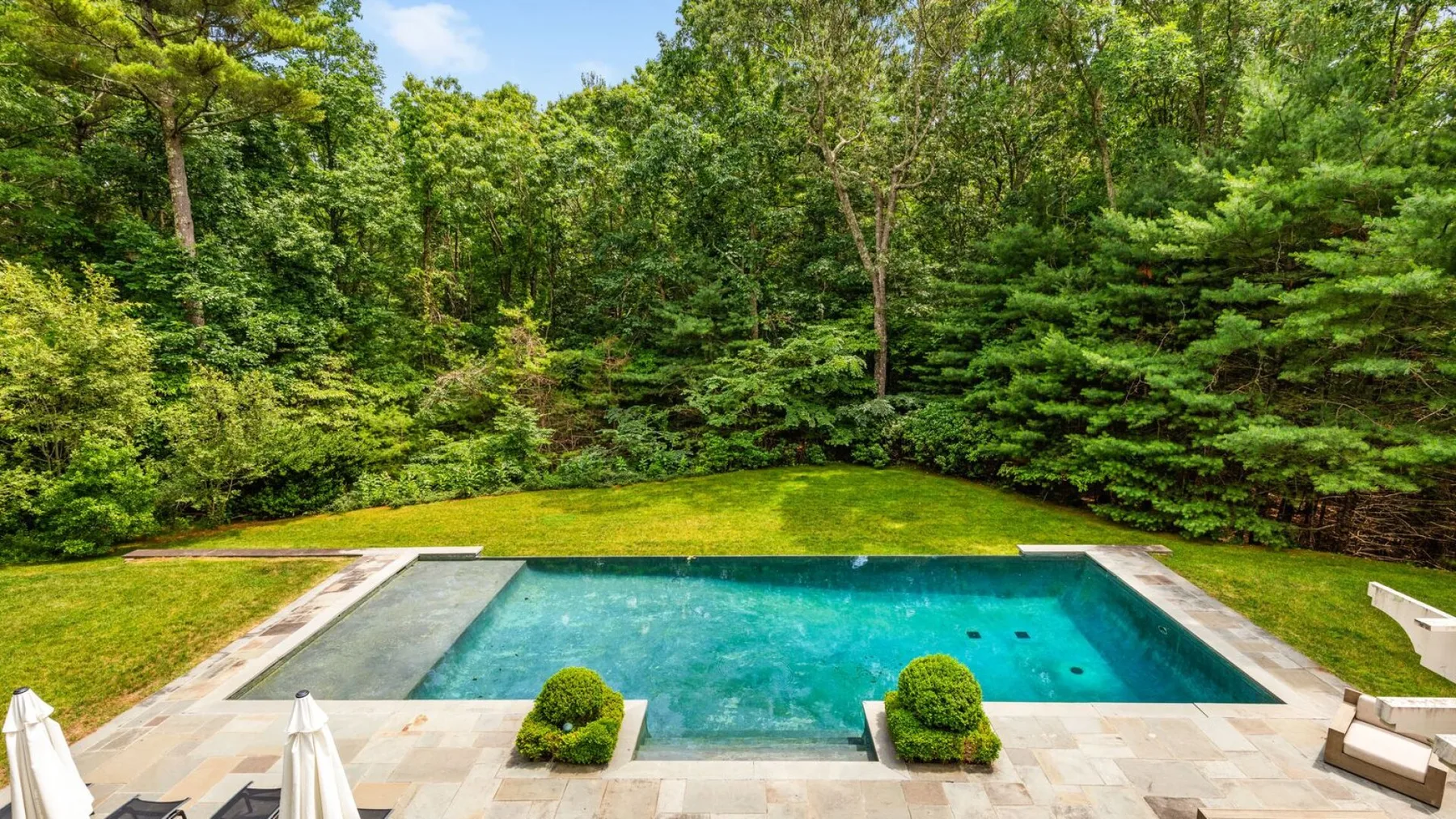 Una piscina está en un patio pavimentado rodeado de árboles y vegetación.