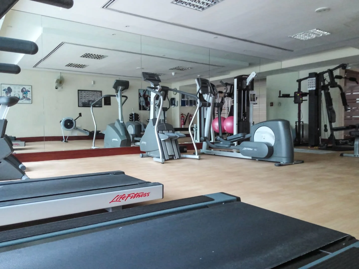 Un gimnasio con cintas de correr, máquinas de ejercicio y una pared con espejos.