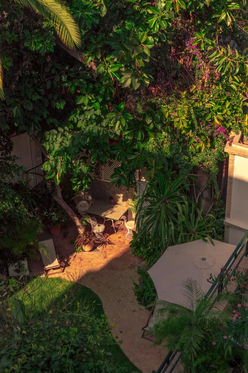 Jardín y azotea