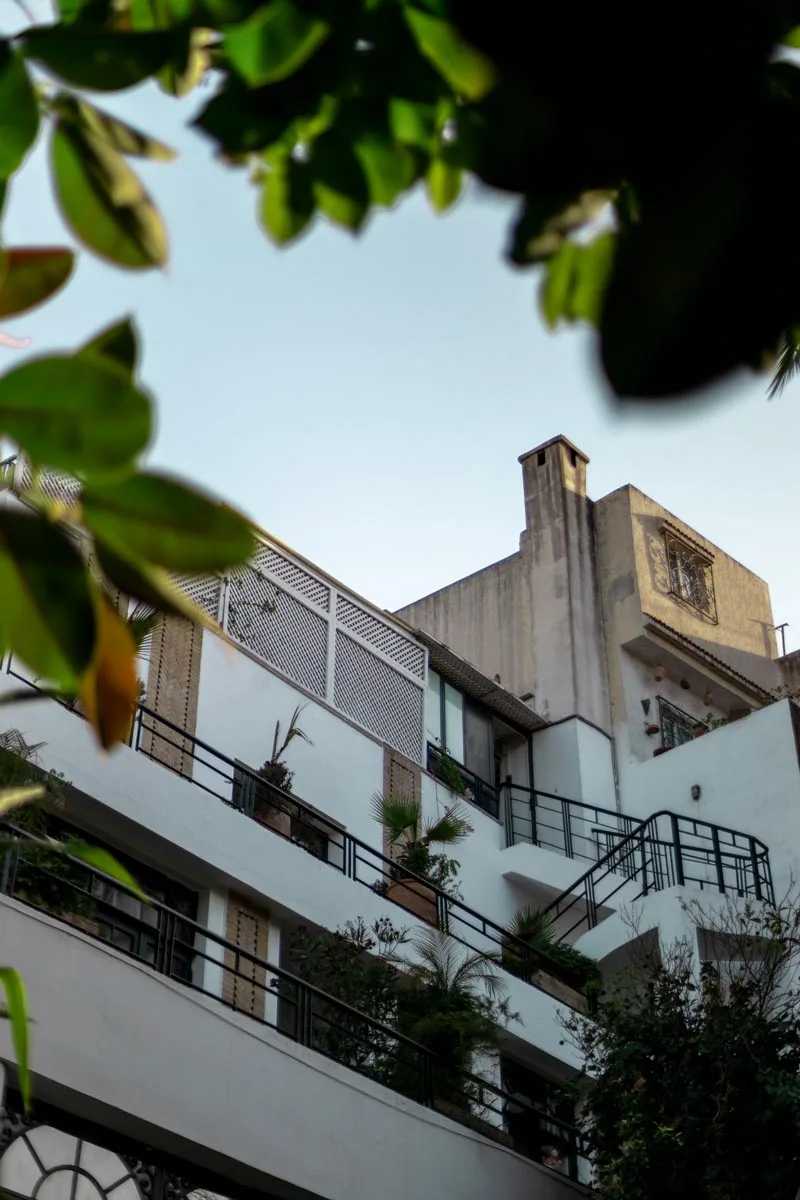 Jardín y zona de piscina