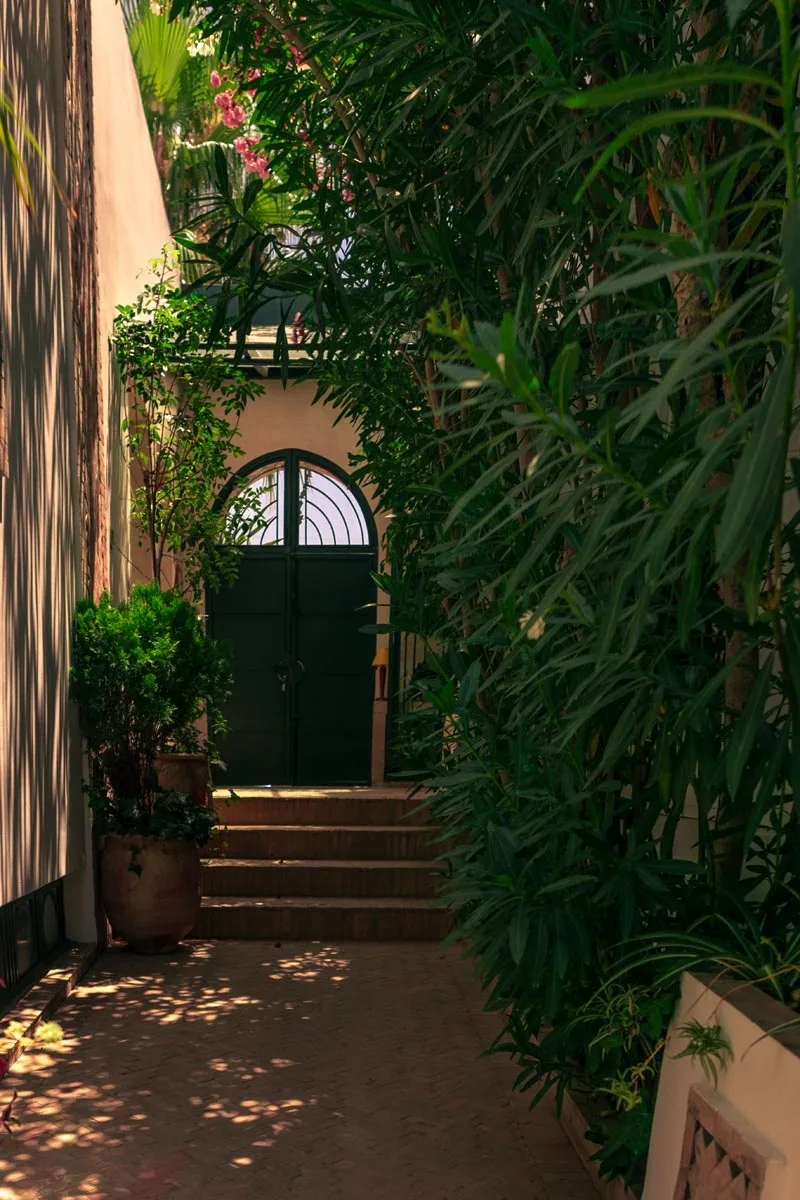 Jardín y zona de piscina