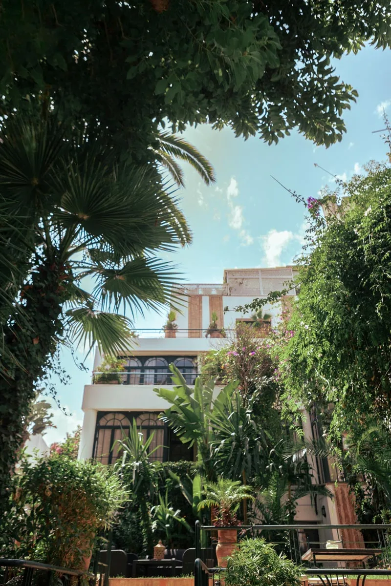 Jardín y zona de piscina