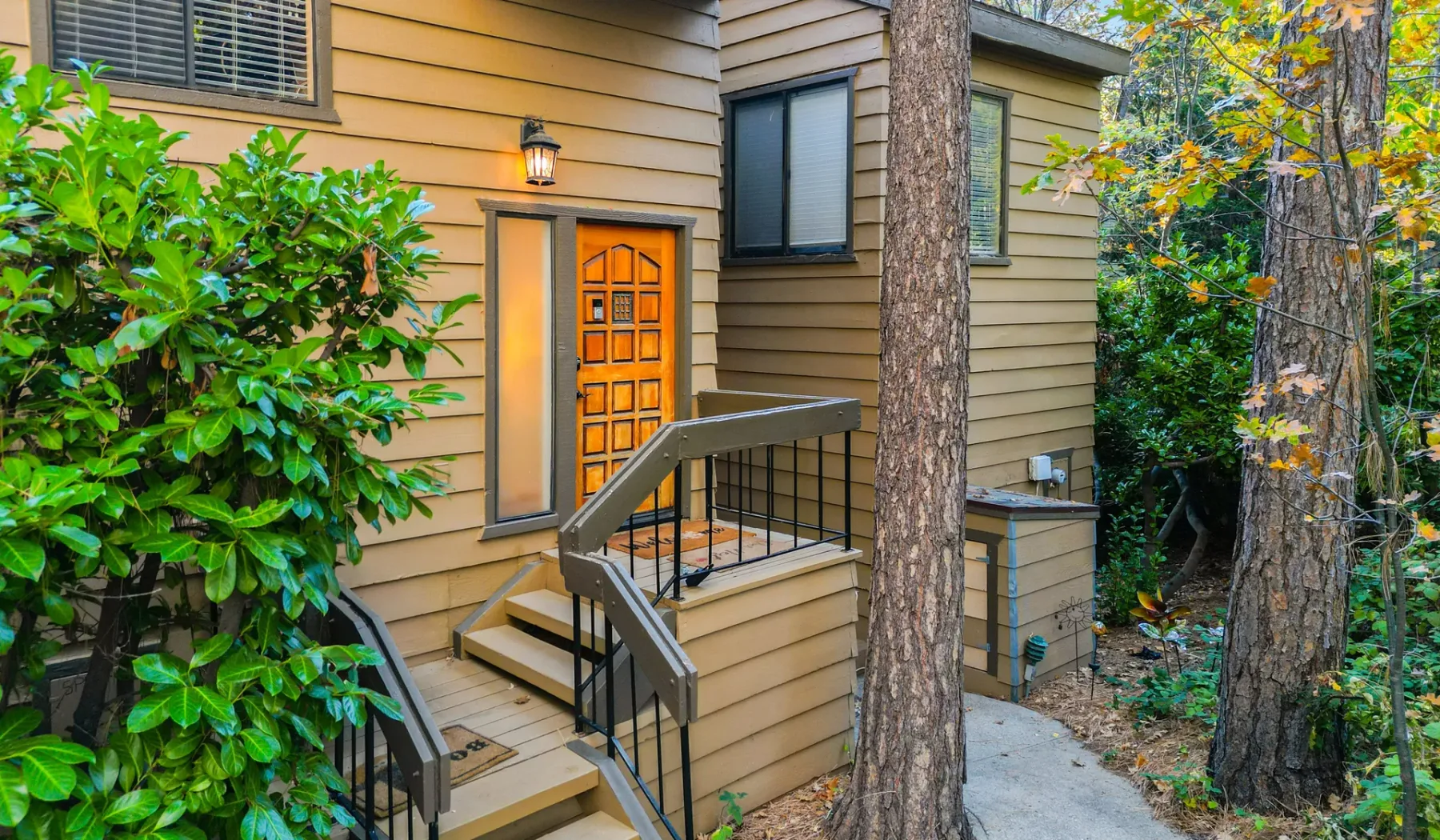 Exterior entrance with wooden steps and a railing beside a tree.