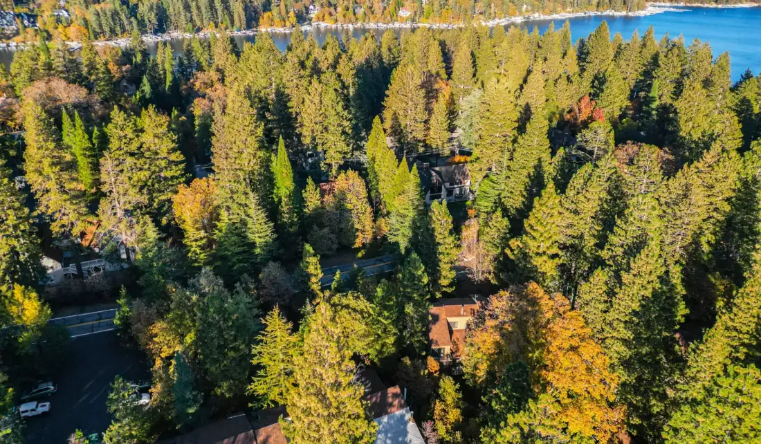 An aerial view of a forested lakeside area with buildings among the trees.