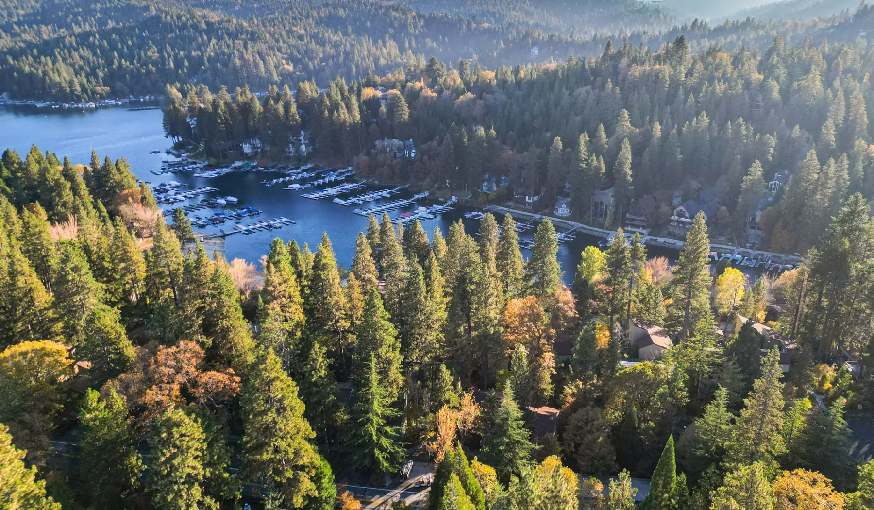 An aerial view of a forested lakeshore with boats on the water.
