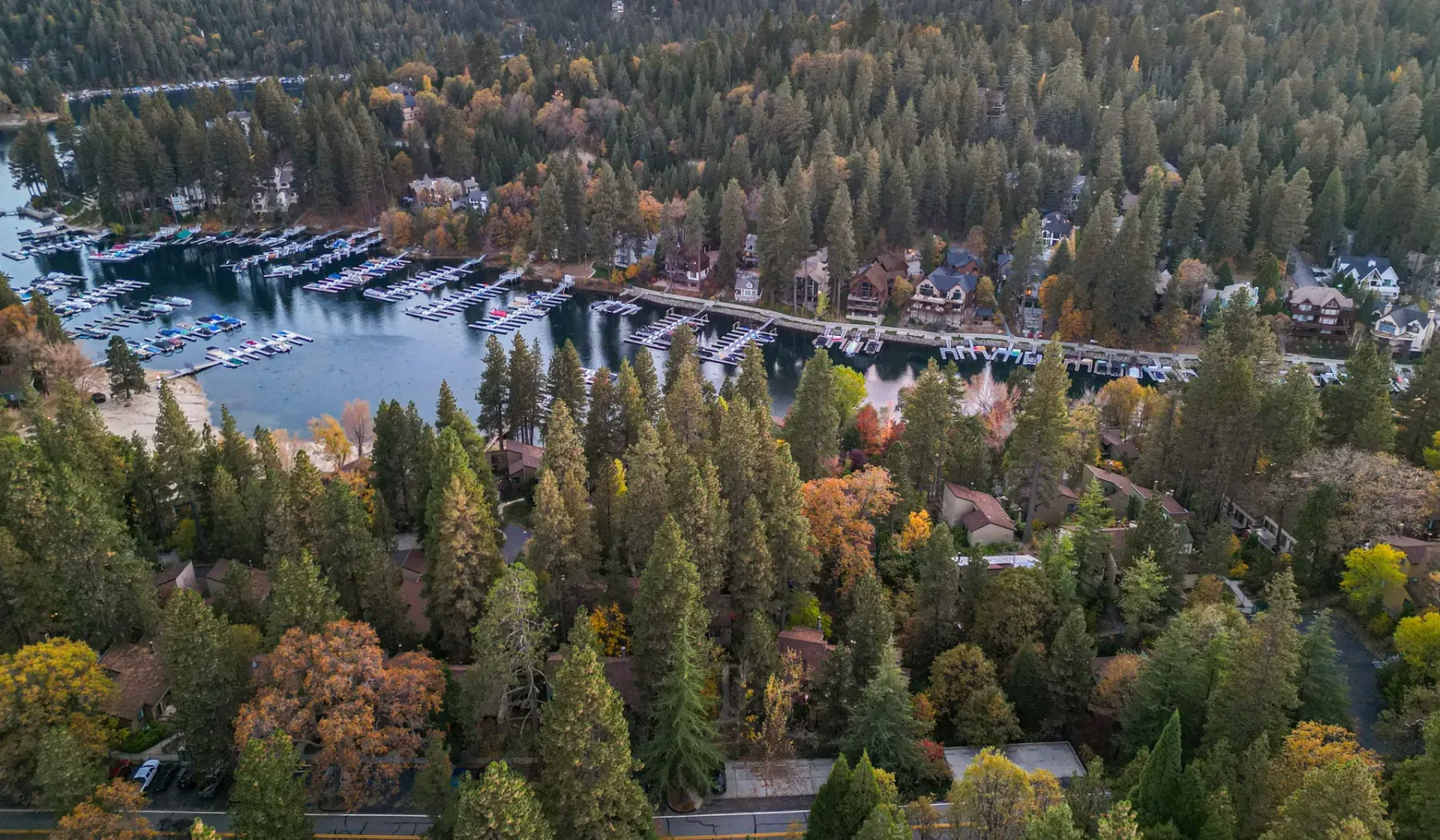 Aerial view of a wooded lakeside marina with boats moored along the shore.