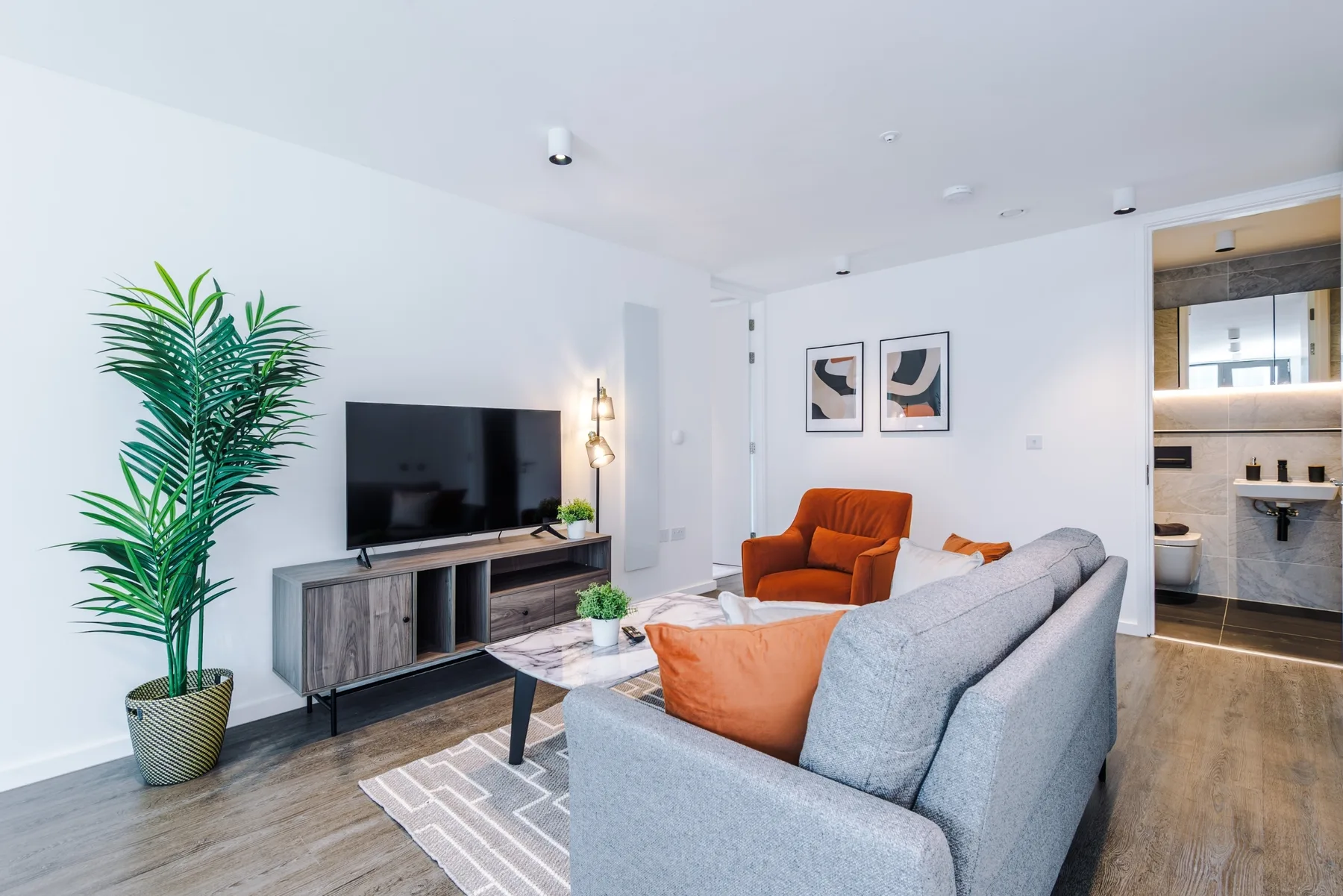 A bright living room with seating, a television, and a potted plant.