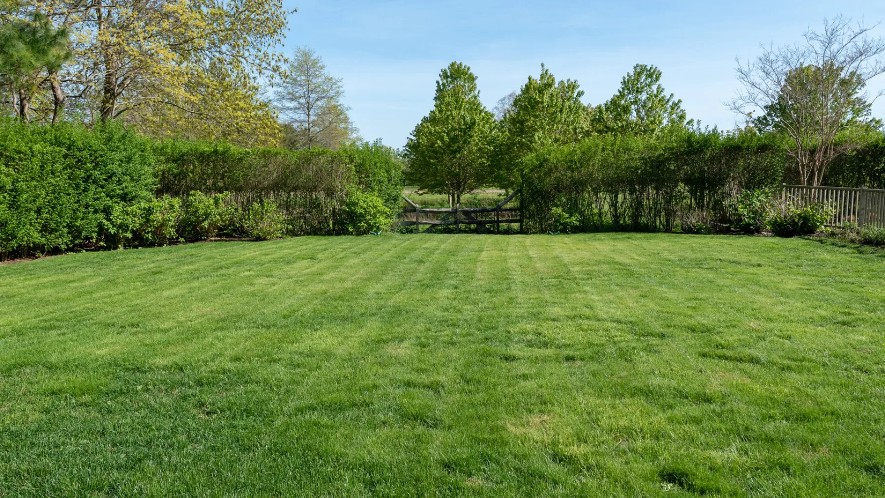 A broad green lawn bordered by trees and shrubs under a clear sky.