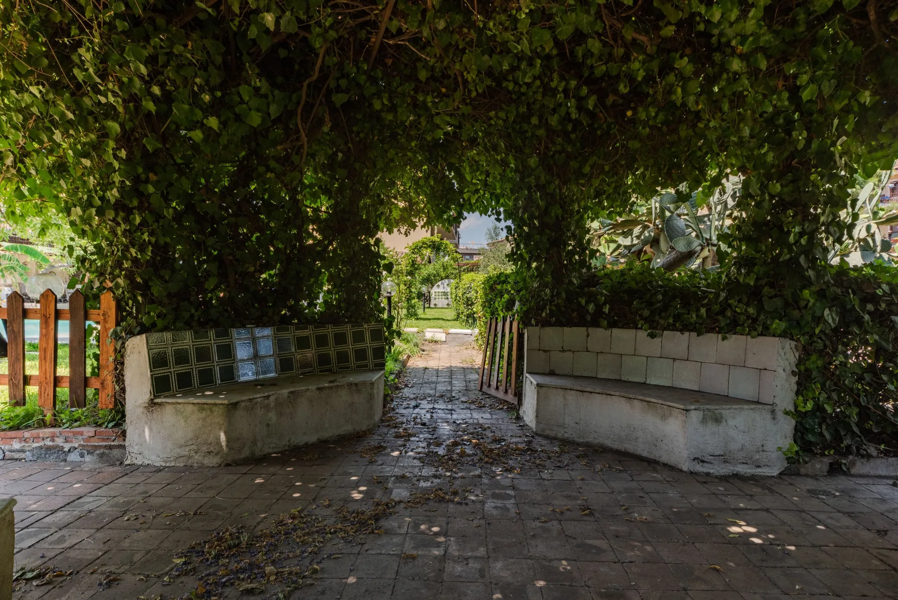 Un sendero sombreado del jardín pasa entre dos bancos bajo enredaderas frondosas.