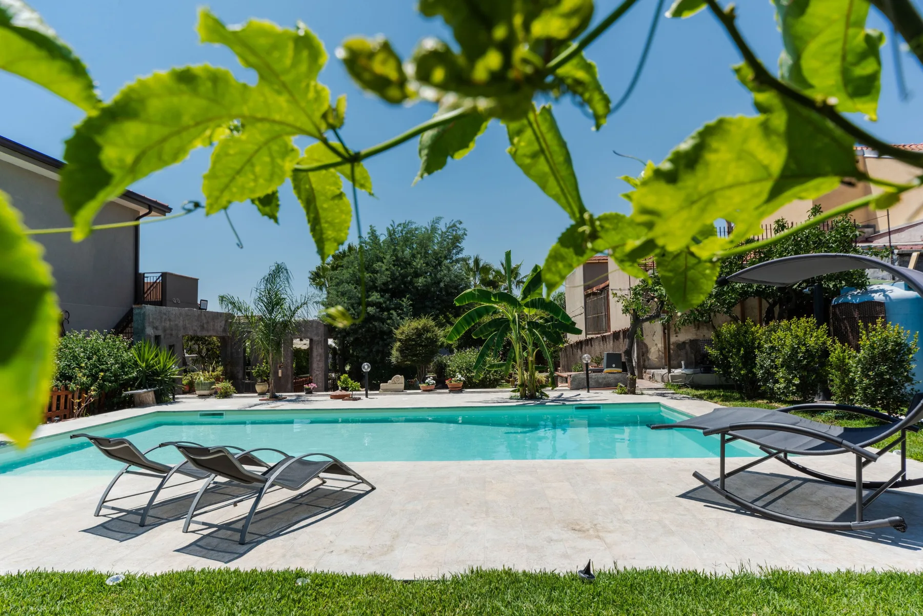 Una piscina al aire libre está rodeada de asientos reclinables y vegetación frondosa.