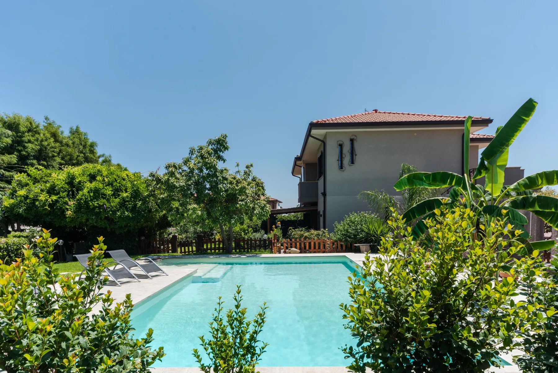 Una piscina al aire libre está rodeada de vegetación junto a una casa.