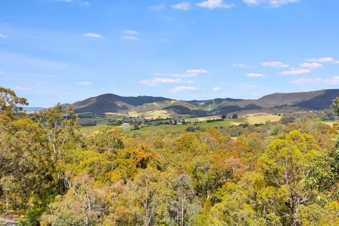 Un paisaje montañoso se alza detrás de una amplia extensión de árboles coloridos.