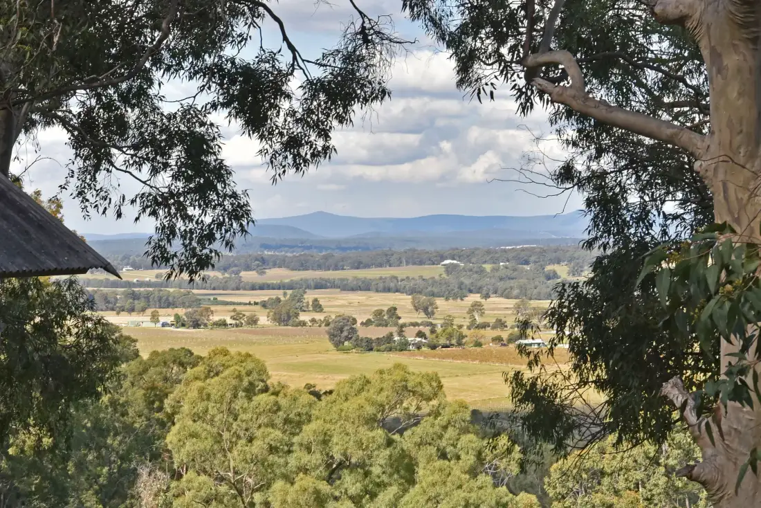 Un paisaje rural con campos y colinas lejanas enmarcados por árboles.