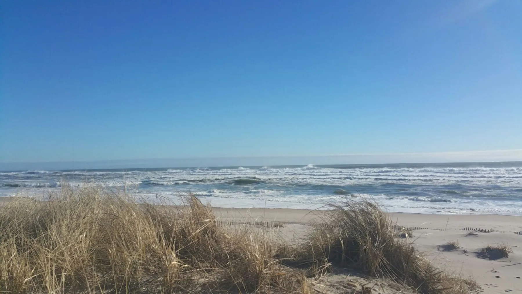Una playa de arena con hierba de dunas y olas bajo un cielo despejado.