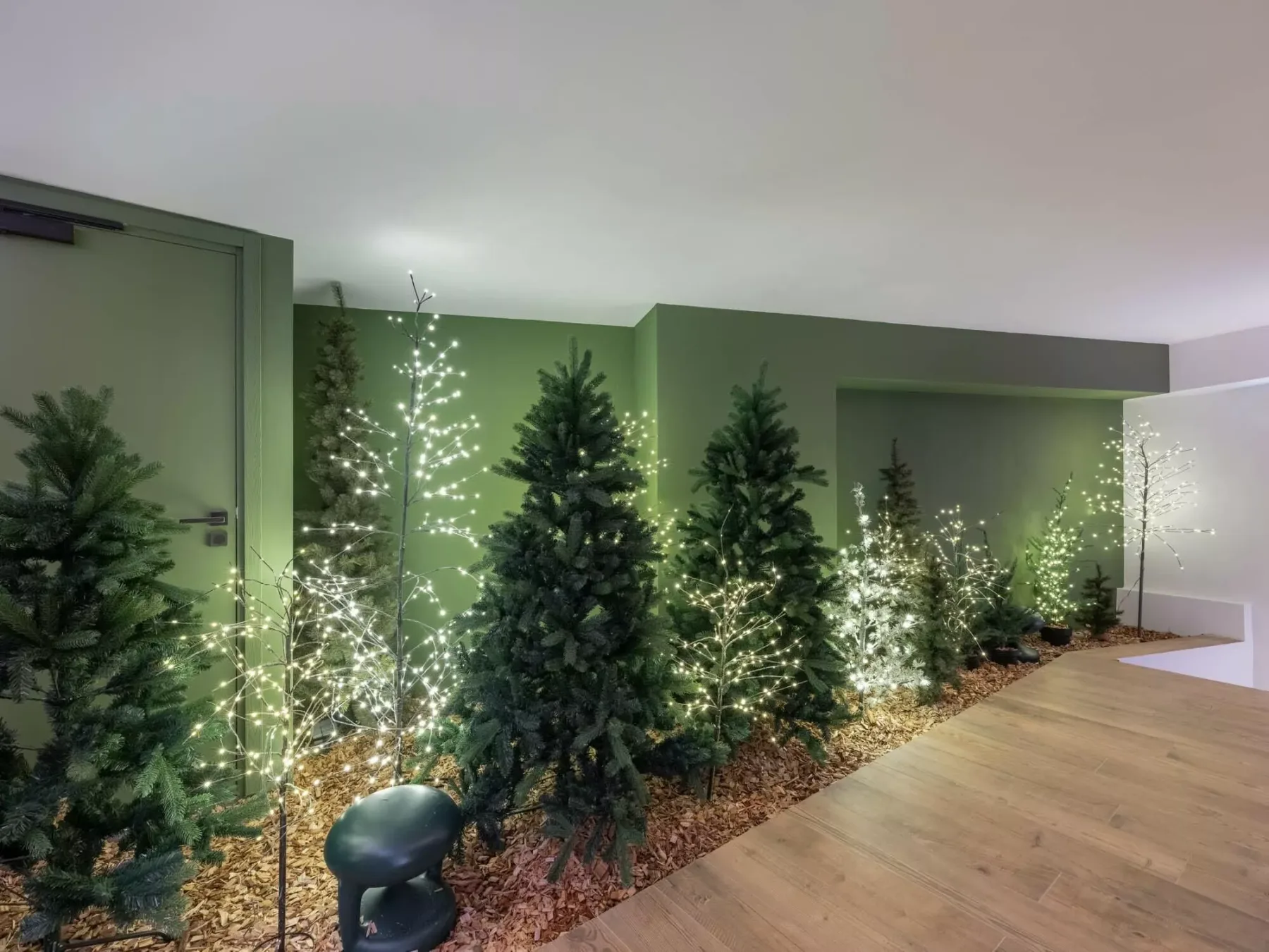 Una fila de árboles de hoja perenne decorados con luces bordea una habitación interior con suelo de madera.