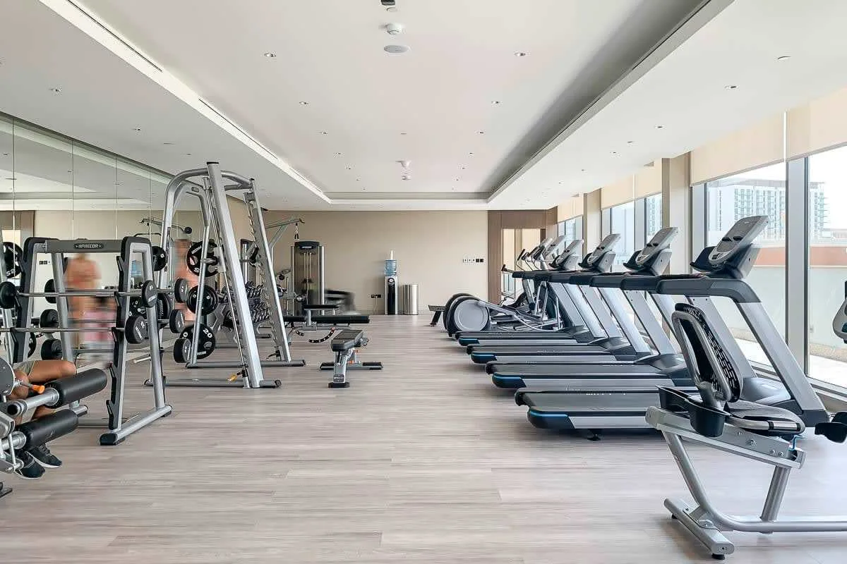 Un gimnasio con filas de cintas de correr junto a grandes ventanas.