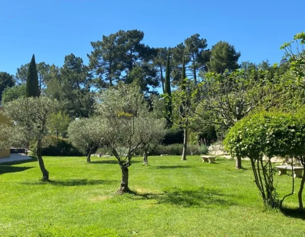 Jardín de olivos