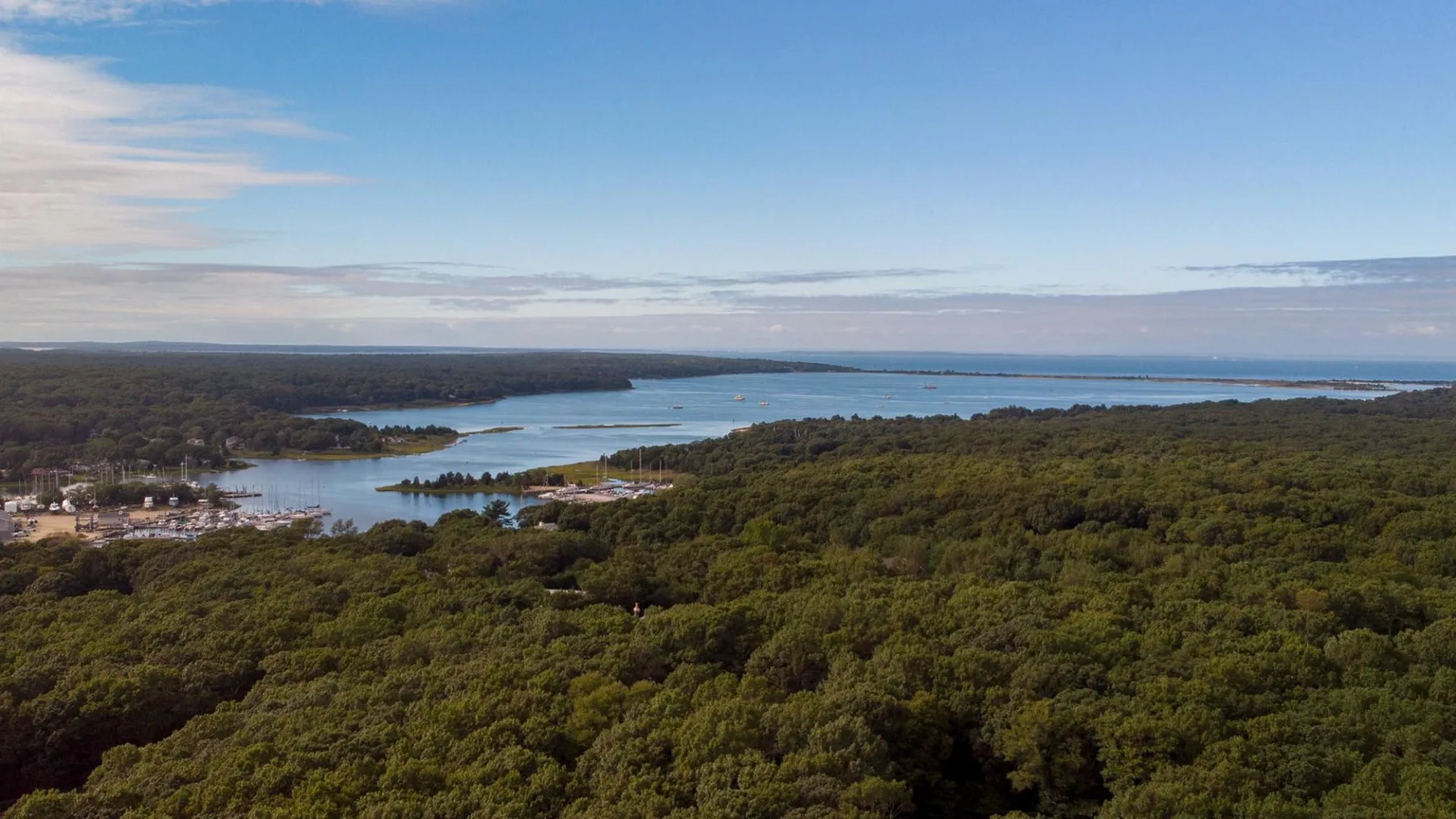 Vista aérea amplia de un bosque denso junto a un cauce sinuoso bajo un cielo azul.