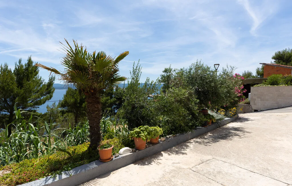 Una terraza soleada al aire libre, rodeada de plantas frondosas y con vistas parciales al mar.