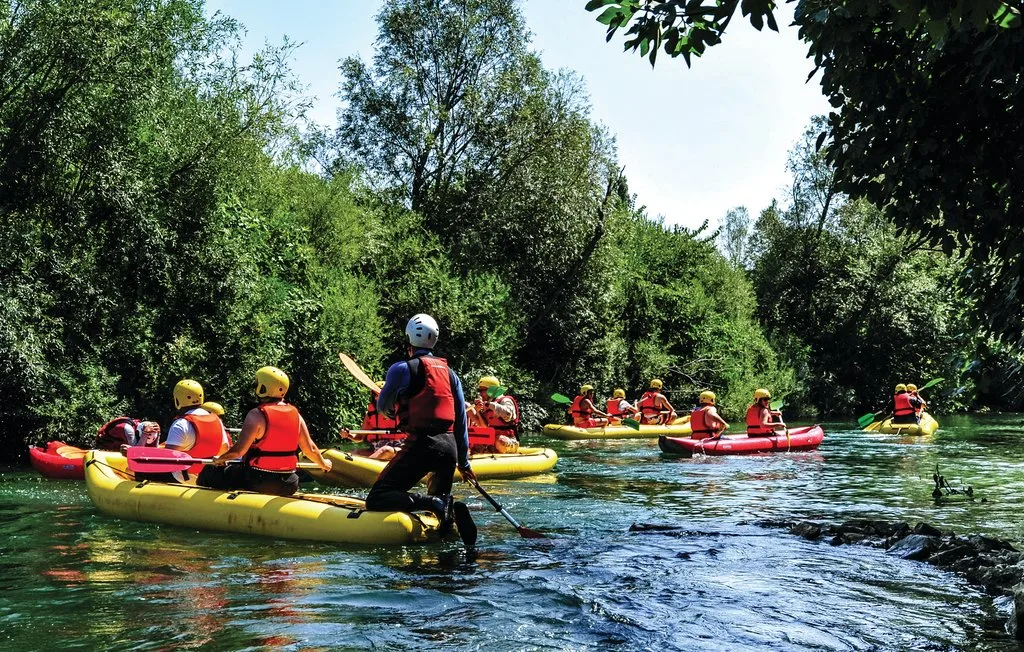 Personas reman en kayaks por un río bordeado de árboles.
