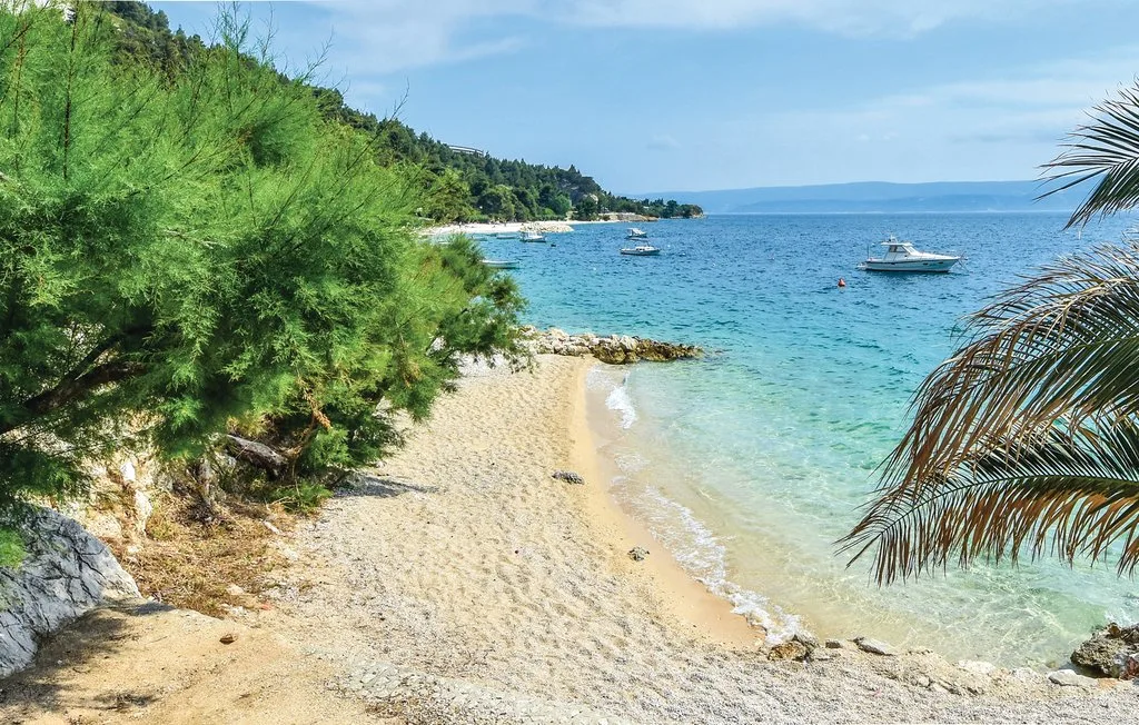 Una playa de arena se encuentra con aguas azules y claras, con árboles en la orilla.